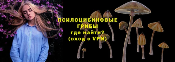 а пвп мука Бородино