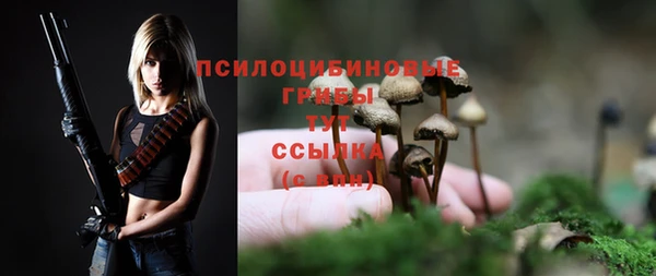 дживик Верея