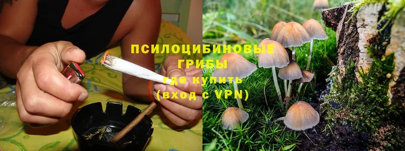 купить закладку  Буинск  Псилоцибиновые грибы Magic Shrooms 